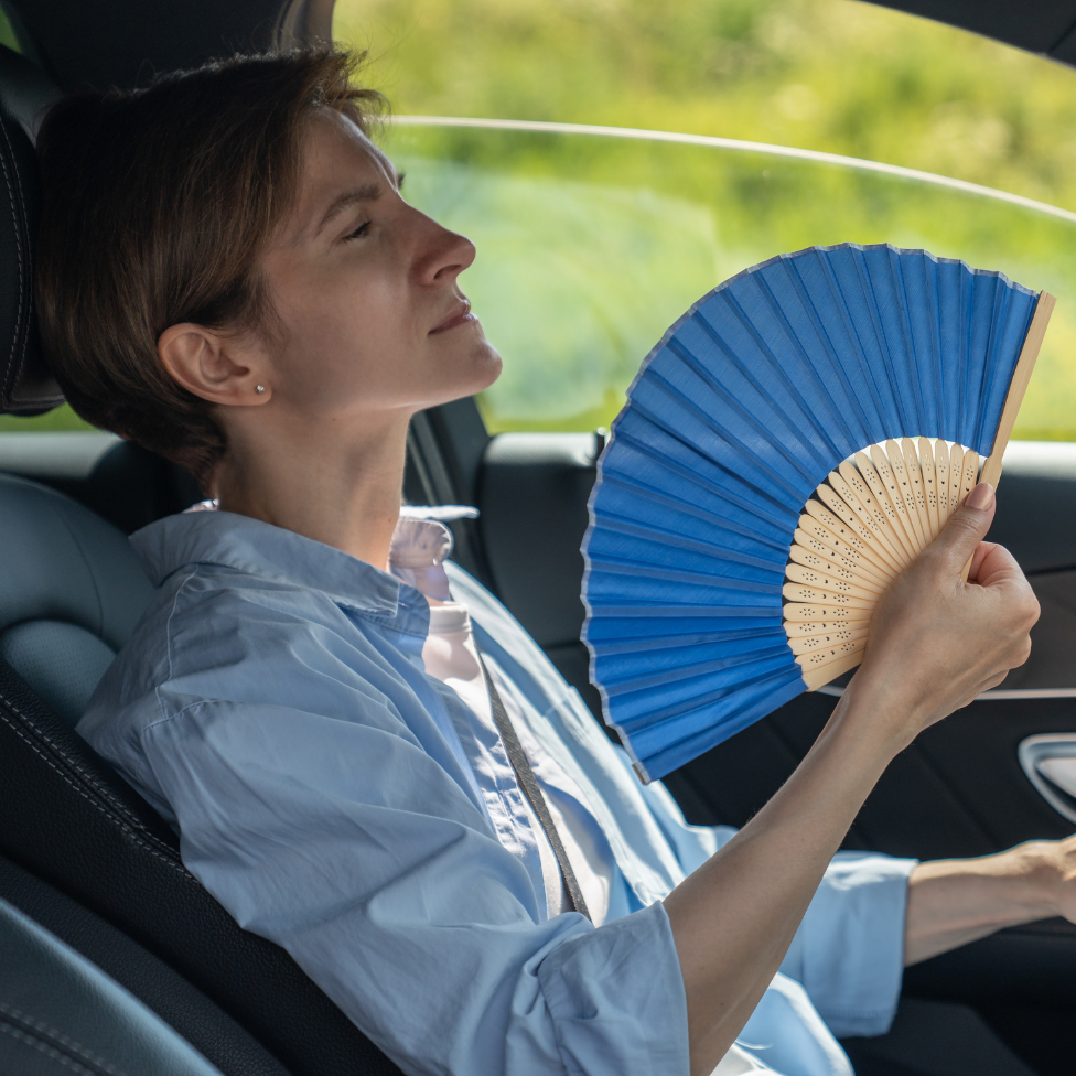 supporter-chaleur-en-voiture01